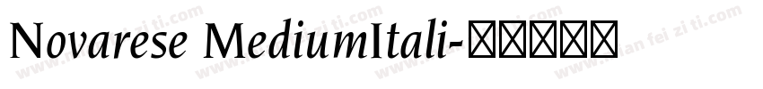 Novarese MediumItali字体转换